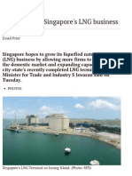 Plans To Grow Singapore's LNG Business - Channel NewsAsia