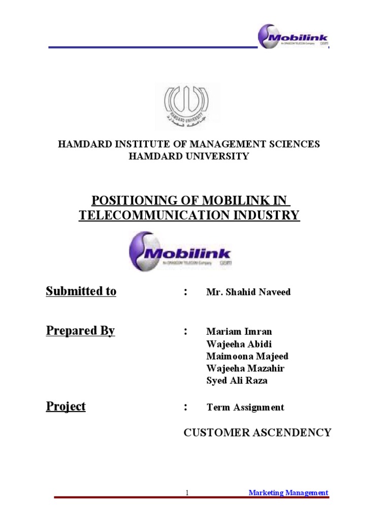MObilink Report | PDF