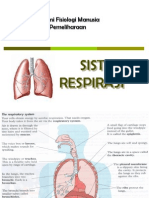 Sistem Respirasi