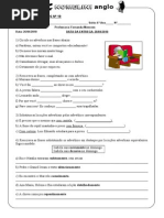 Atividade sobre 