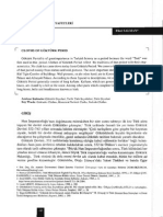 Göktürk Dönemi Kıyafetleri PDF