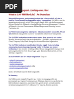 What Is SAP MM Module? An Overview