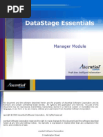 DataStage Manager