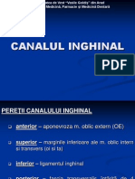 Canalul Inghinal2