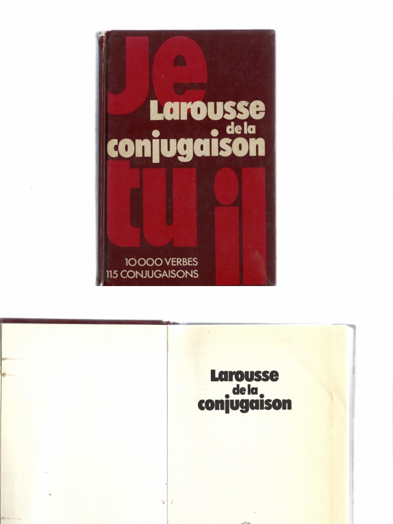 larousse de la conjugaison.pdf