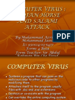 Computer Virus: Trojan Horse and Salami Attack