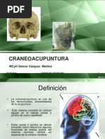 Download craneoacupuntura by Erk Contre SN209170644 doc pdf