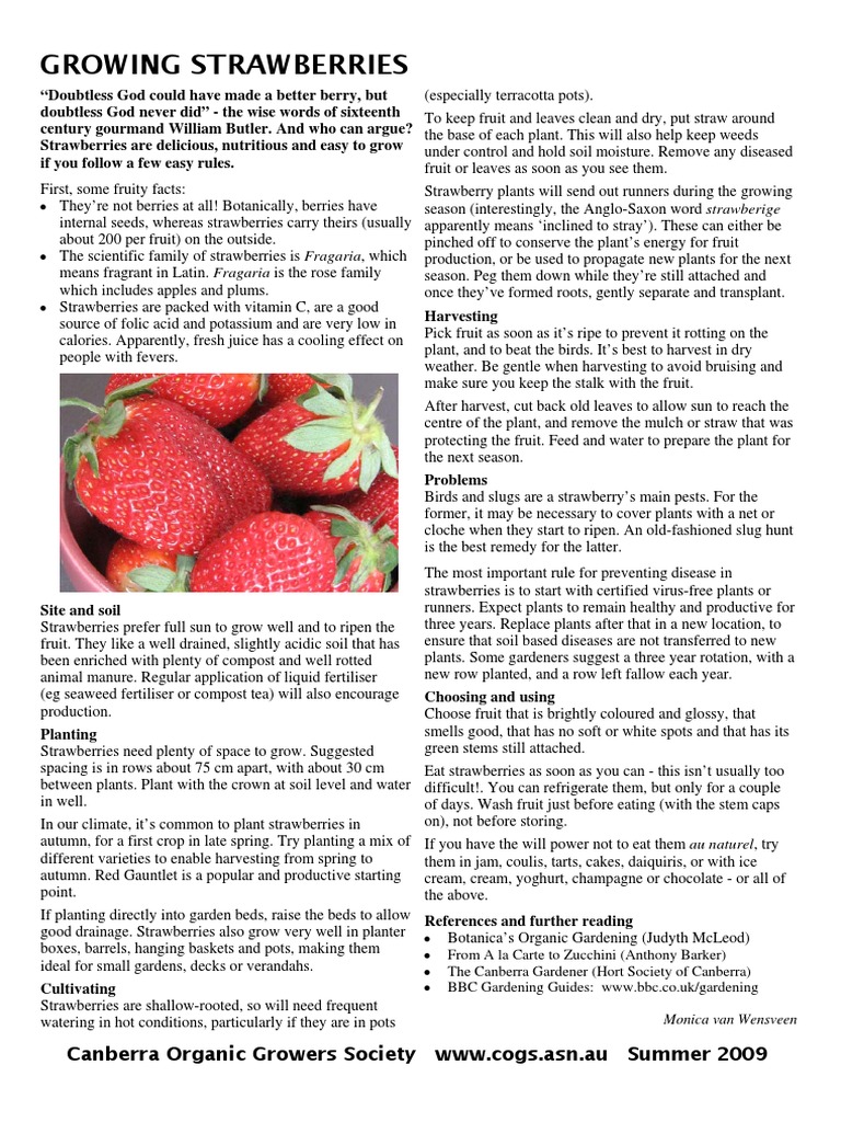 Strawberry Growing Guide | PDF | Strawberry | Crop Rotation