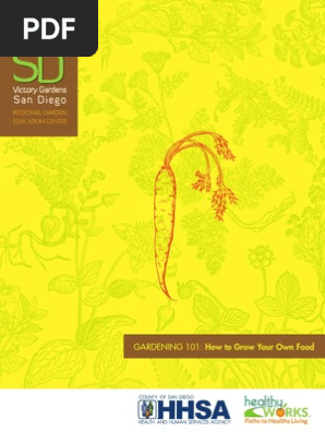 Gardening 101 - Grow Your Own Food