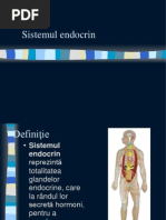 Sistemul Endocrin Final Olimpiada