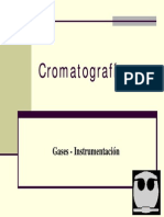 Cromatografia de Gases Instrumentacion