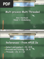 Multi Process-Multi Threaded: Amir Averbuch Nezer J. Zaidenberg