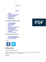 Edilgen Fiil PDF