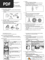 CHAPTER 1 MICROORGANISMS 1. Some Living Things Are Big But