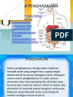 Sistem Penghadaman