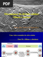 Aula Divisao Celular[1]