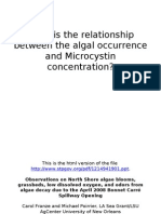 What Is The Relationship Between The Algal Occurrence