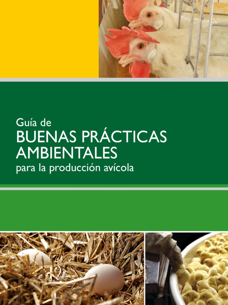Guía de Buenas Prácticas Ambientales Avícolas | PDF | Residuos | Compost