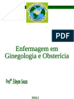 Enfermagem Em Ginecologia e Obstetricia