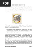 CICLOS_BIOGEOQUIMICOS