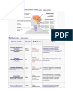 Sistema Endocrino David