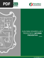 01. Guia Informe Preventivo