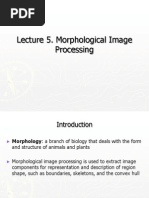 Morphology Gonzalez Woods