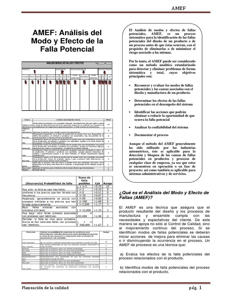 03 AMEF Folleto PDF | PDF