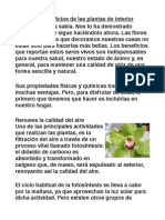 Plantas de Interior PDF