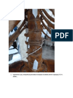 Soal Latihan Skeleton Trunci 2012