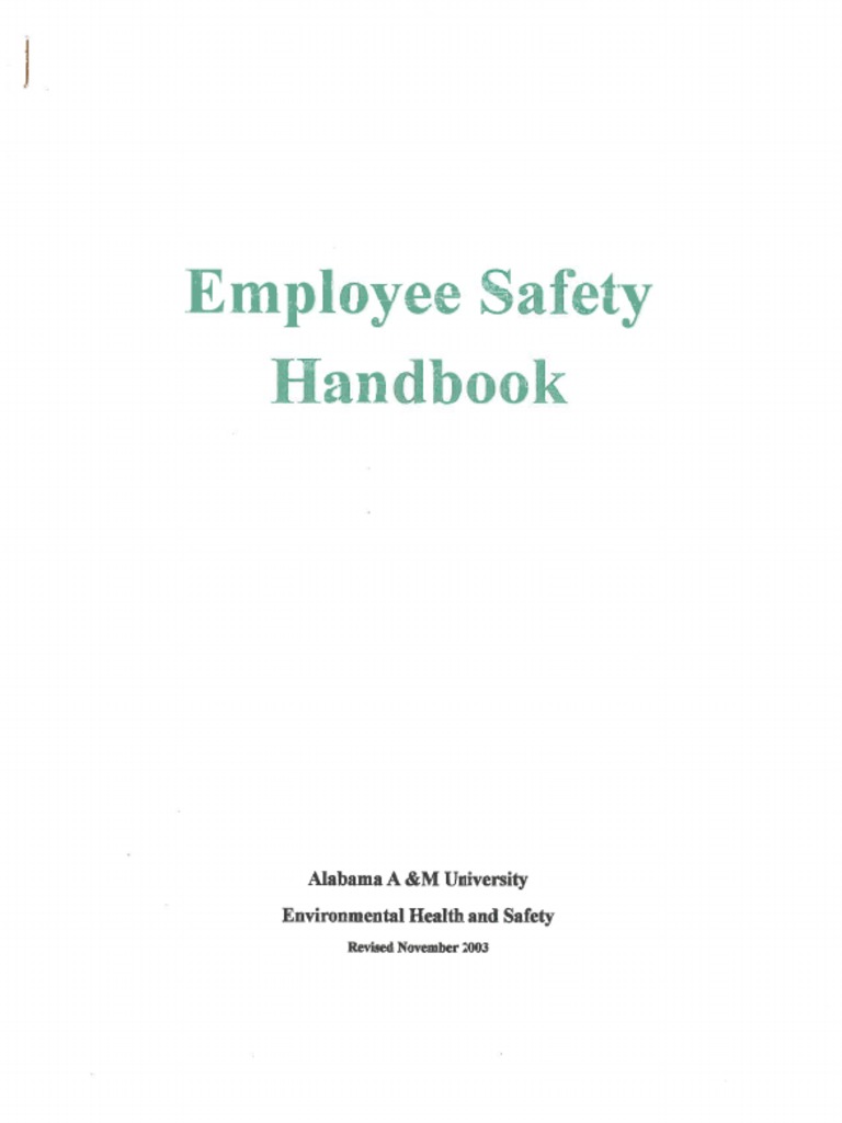 Employee Safety Handbook PDF