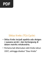 Contoh Recount Text Beserta Soal Dan 21.HTML  E Books 