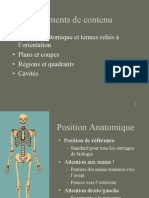 Planuri Anatomice