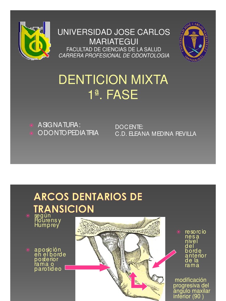 Denticion Mixta 1a Fase | PDF | Anatomia animal | Diente