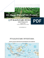 Palm Oil Plantations Project