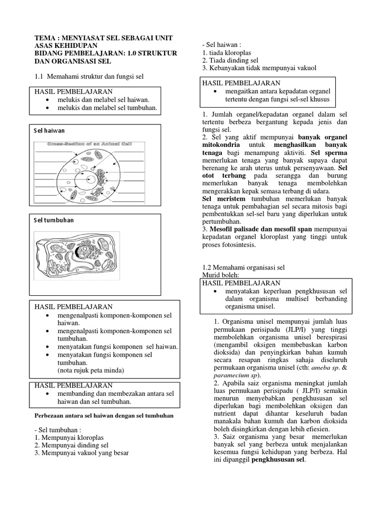 Biologi Bab 2 Organisasi Sel Pdf
