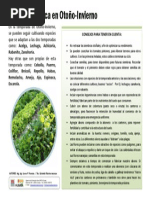 INTA- Consejos Huerta O-I -Difusion