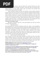 Download Tempe Adalah Produk Fermentasi Yang Amat Dikenal Oleh Masyarakat Indonesia Dan Mulai Digemari Pula Oleh Berbagai Kelompok Masyarakat by Riska_P1023 SN209372369 doc pdf