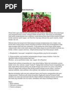 Download Pengolahan Daging Buah Rambutan by Arlie Oksa SN209382680 doc pdf