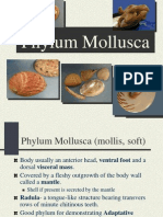 mollus