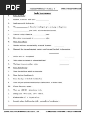cbse class 6 worksheet body movements pdf skeleton musculoskeletal system