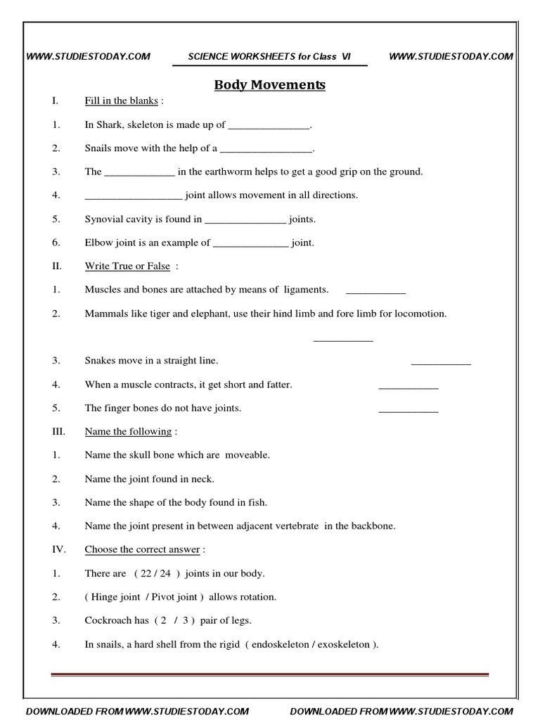 Grade 6 Body Movements Worksheet