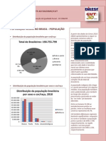 Dados Populacao Negra No Brasil