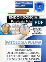 Expopatologiaspulpares 110414201814 Phpapp01