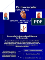 Sistema Cardiovascular