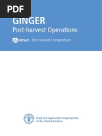 Download Post Harvest Compendium - Ginger by IBVB SN209439414 doc pdf