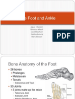 The Foot and Ankle1