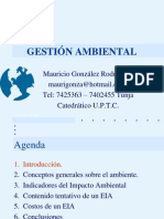 Gestion Ambiental Memorias