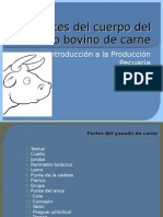 Partes Del Ganado Bovino de Carne