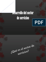 Sector Servicios